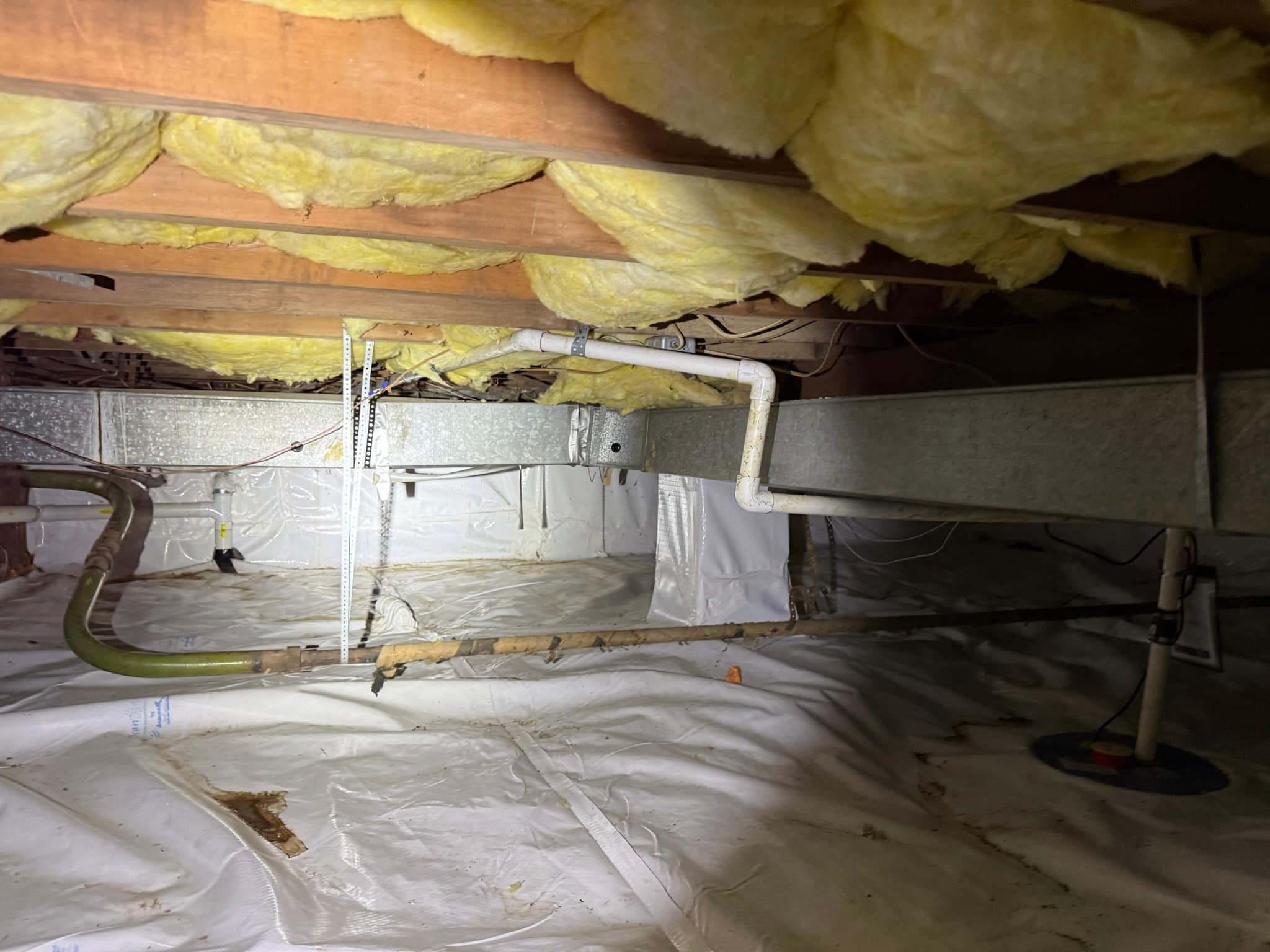 Crawlspace & Moisture Check